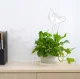 Plant flower irrigator