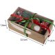 Purlov Christmas Dog Toy Set (6 pcs)