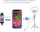 Puluz LED RGB Vlogging Ring Photo Video Light Lamp 30cm ( Without Tripod )