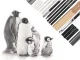 Professional Sketching and Drawing Set 32 in 1, Black