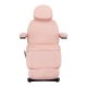 Sillon Classic Electric Beauty Chair with 3 Motors, Pink/Black