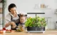 RainPoint Hydroponic Growing Kit