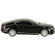 RC Car Model with Remote, Bentley Continental GT (1:24)