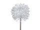 Solar Garden LED Lamps Dandelion Firework 70cm, Warm Light, 2 Pcs