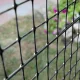 TENAX MILLENNIUM Plastic Fence Mesh 2 × 50 m – Anthracite Grey