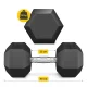 4FIZJO HEX Steel Rubber Dumbbell 30 kg