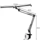 Izoxis 24223 Adjustable Desk Lamp with 2 Light Sources, Black