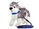 Classic leash with adjustable collar for dogs and cats, 120 cm, blue