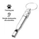 Ultrasonic dog training whistle with keychain, silver