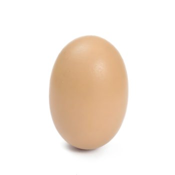 Dummy Egg for Hens, 1 Pcs, Brown