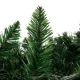 Ruhhy Christmas Pine Garland with LED Lights, 2.7m
