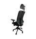 Multifunction Ergonomic Office Chair with 3D Armrests, Black