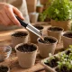 Garden Scoop for Seeds and Fertilizer, 22.5 cm
