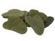 Jade Body Massager Gua Sha Plate, Different Colors