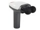 LCD Cordless Massage Gun Set with Tips