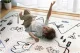 Nukido NK-342 Educational Double-sided Kids Roll-up Foam Mat