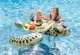 Intex Sea Turtle Inflatable Ride-On Float, 191x170 cm