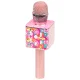 Paw Patrol Skye Wireless Karaoke Microphone Pink