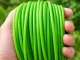 DIVODV Trimmer Line 15m, 2mm, Green