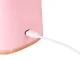 Portable Wireless USB Smoothie Blender HP-158 600ml, Pink