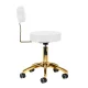Activeshop AM-304G Cosmetic Stool White/Gold