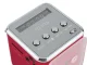 Portable Wireless Speaker with FM Radio and Bluetooth, Red