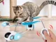 Interactive Remote Control Cat Toy with USB-C Charging