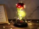 Eternal Rose in Glass Dome with LED Lights, Enchanted Forever Rose Gift for Her, Red