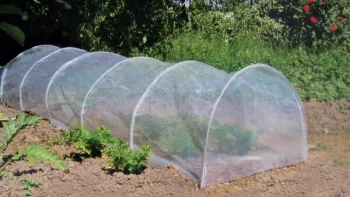 Early Tunnel Mini Greenhouse 0.6 x 0.45 x 3 m