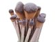 MakeUp Cosmetic Brush Set, 14 pieces