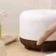 LED Aroma Diffuser Air Humidifier with Remote Control N23511