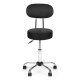 Adjustable Rolling Swivel Salon Stool with Backrest ModernHome, Black