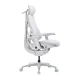 LiberNovo OC1-PRO Ergonomic Gaming Chair (48 cm, White)