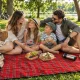 Foldable Picnic and Beach Blanket, Waterproof, 150x200cm, Red