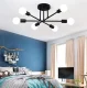 Loft Hanging Ceiling Lamp, 6 Bulbs, Black
