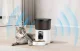 Rojeco 3L Automatic Pet Food Dispenser Button Version, White