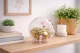 Small Glass Piggy Bank for Coins and Bills, Clear Money Saving Jar for Adults & Kids