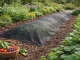 DIVODV Black Weed Control Fabric 50g/m², 1.5x30m