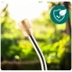 Garden Pressure Sprayer 8L Plonos PL-606 Manual Pump for Lawn and Plants