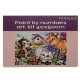 Maaleo Paint by Numbers Kit Kittens, 40x50 cm