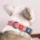 Waudog Classic Dog collar with QR code size L, Pink