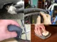 Steel Wool Metal Polishing Kit 3x150 cm for Rust and Scratch Removal