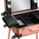 Activeshop T-27 Portable Cosmetic Station, Rose Gold