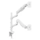 Ergo Office ER-692 W Dual Monitor Mount, Gas Spring, 17\"-32\", 1-10kg, White