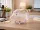 Large Glass Piggy Bank for Adults & Kids, Clear Money Saving Jar for Coins & Bills