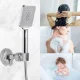 Shower Head Holder with Suction Cup, Silver
