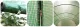 Garden Greenhouse Tunnel 2.5x4xH2m (10m2) Plonos