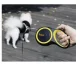 Purlov Retractable Dog Leash, 5m / 15kg, Black/Yellow