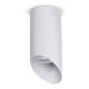 Maclean MCE360 W Surface Mounted Luminaire, GU10, Aluminum, White