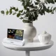 Meteo SP110B Weather Station with DCF, White